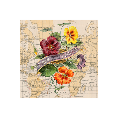 Bloom Collaged Map Art Print | all:transparent