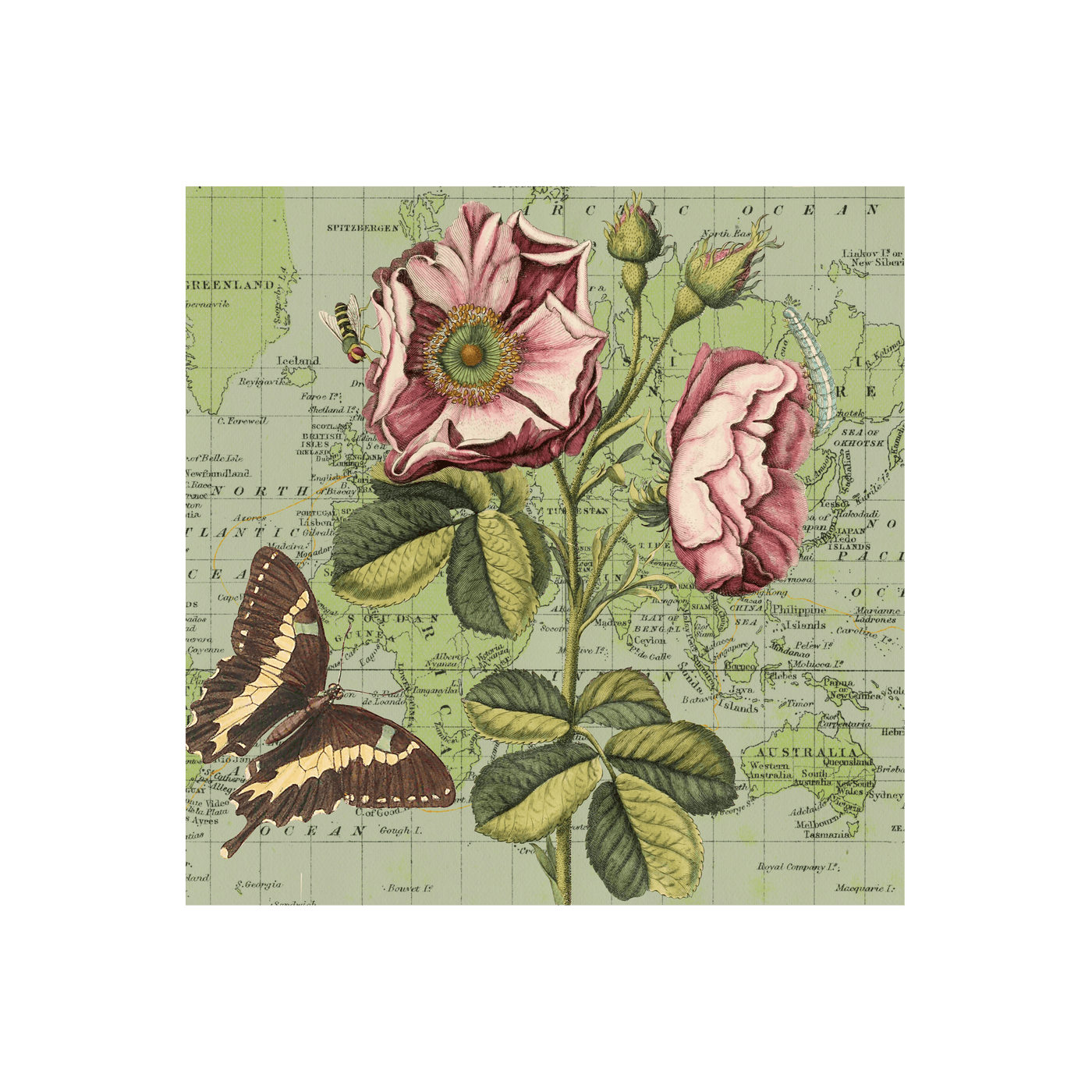 Botanical Collaged Map Art Print | all:transparent