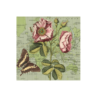 Botanical Collaged Map Art Print | all:transparent
