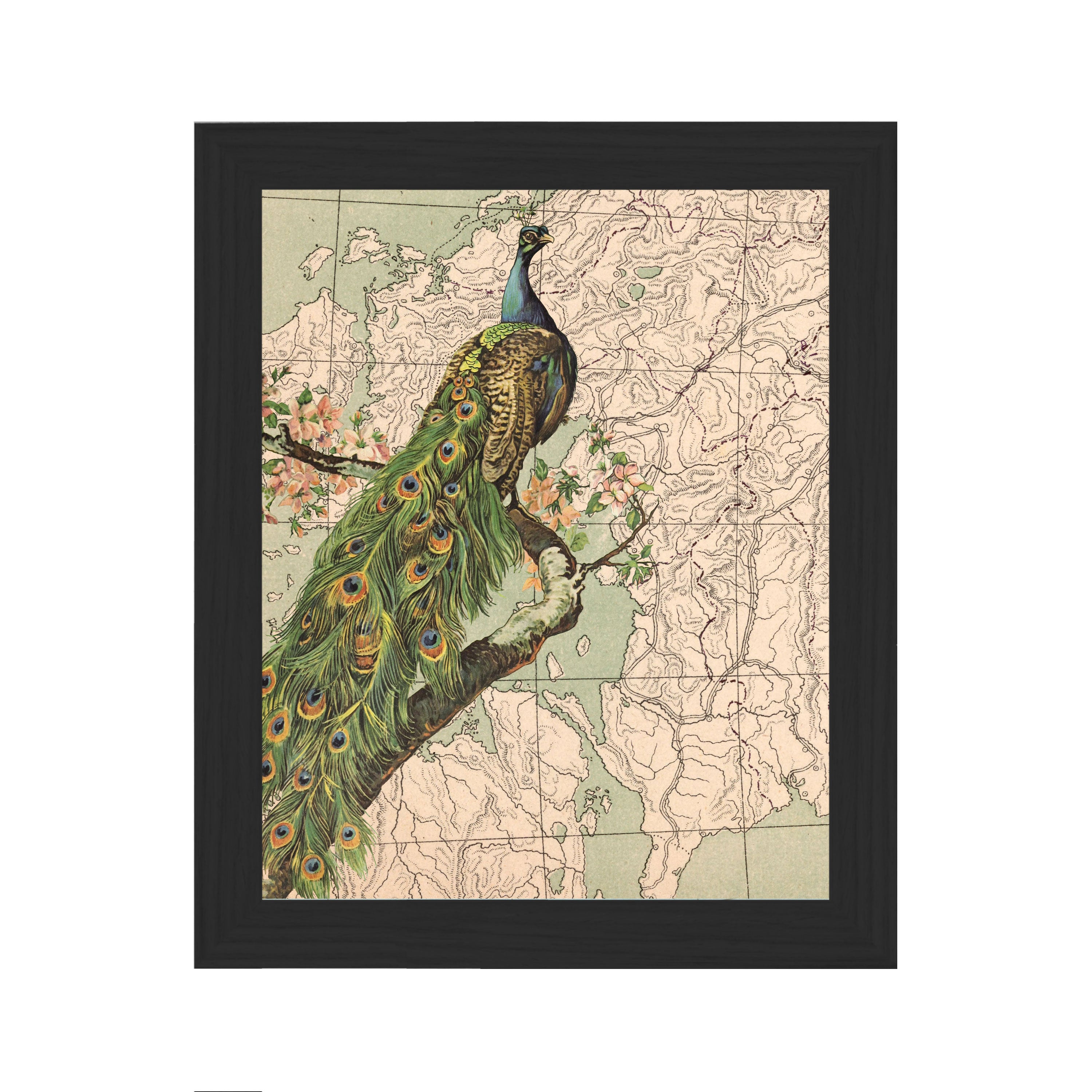 Peacock with Cherry Blossoms Collaged Map Art Vignette – Wendy Gold