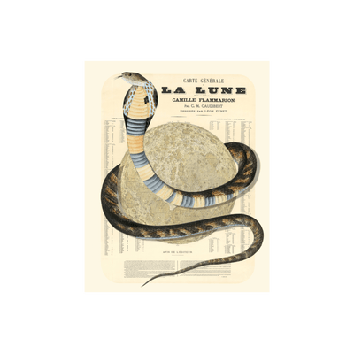Snake Eclipse Moon Collaged Map Art Print | all:transparent