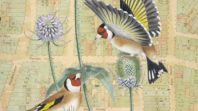 Dad's & Grads Gift Guide: 10% off Travel-Inspired Treasures