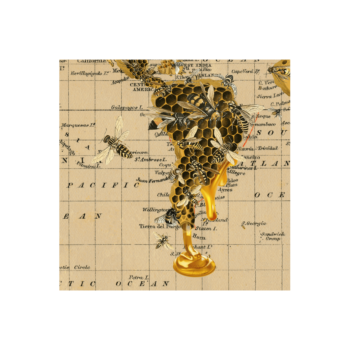 Bee Swarm Collaged Map Art Print | all:transparent