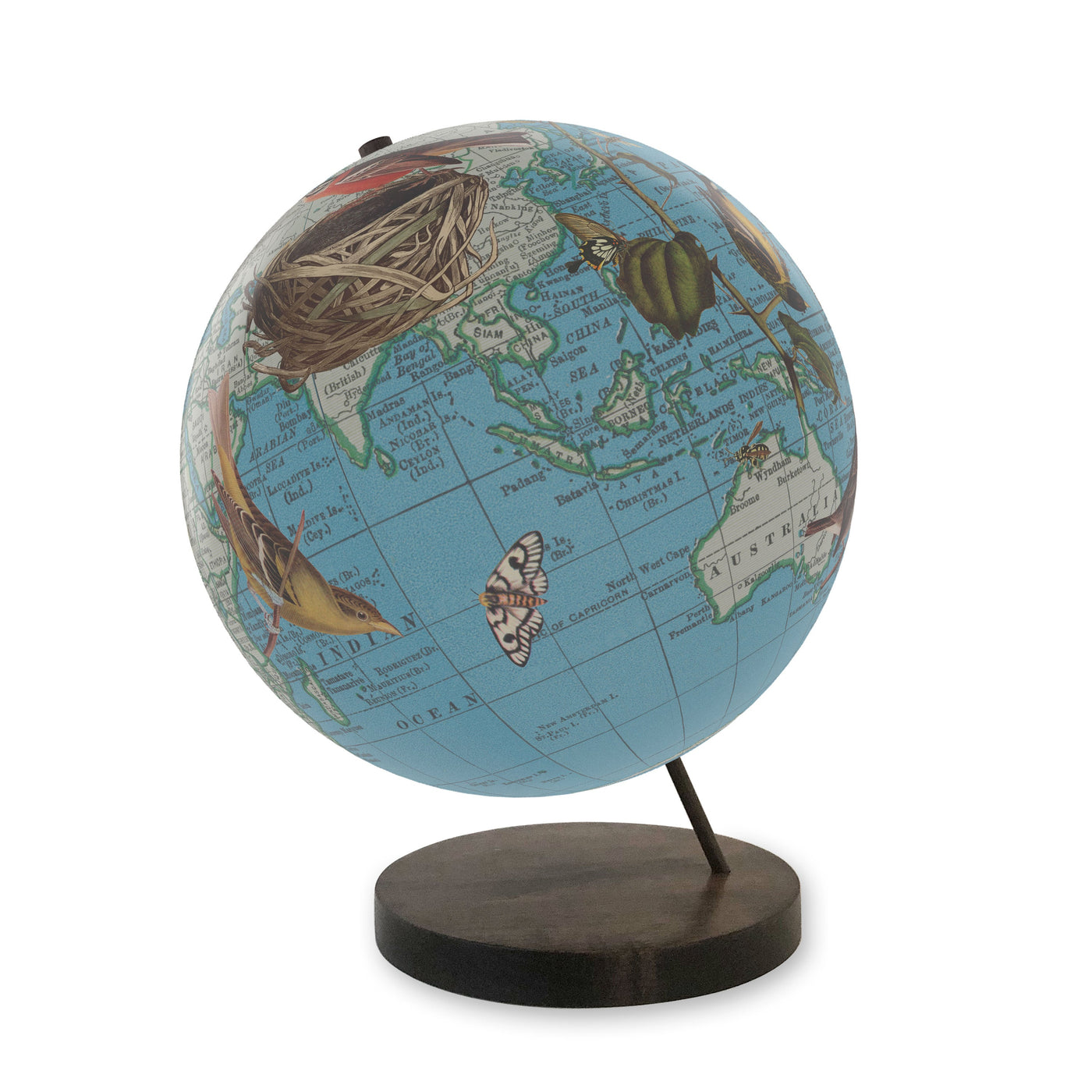 Birds of a Feather Collaged World Globe Art view 3