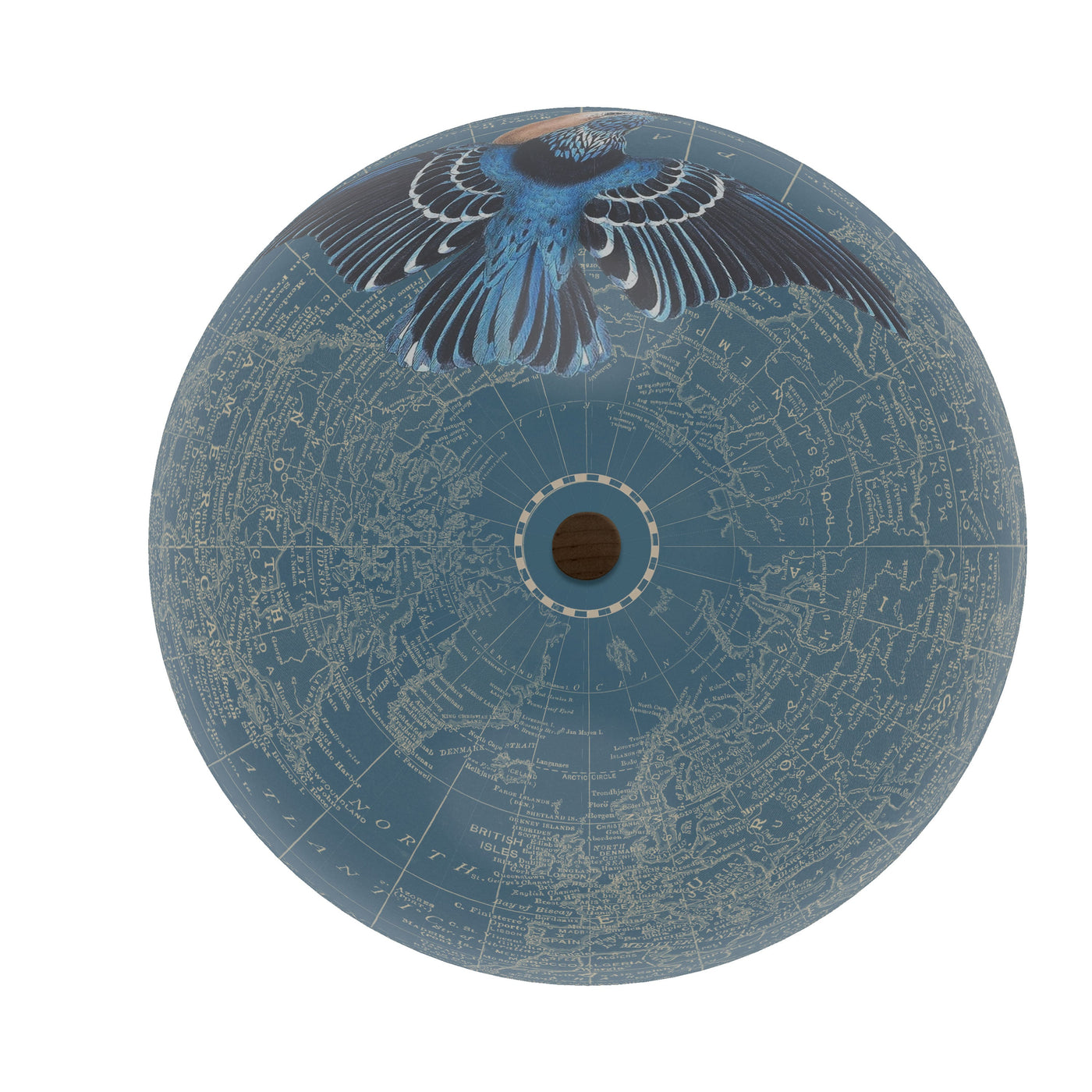 bluebird globe art top