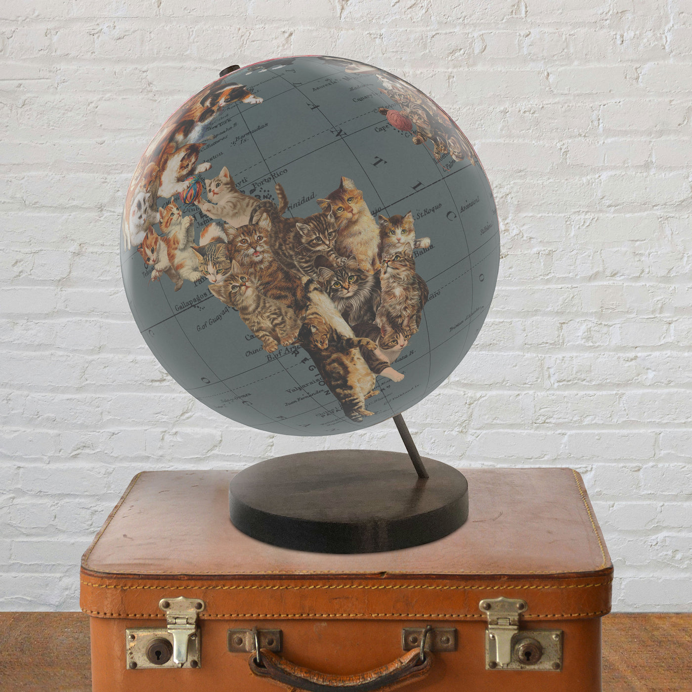 Cat Lover’s Personalized World Globe Art lifestyle