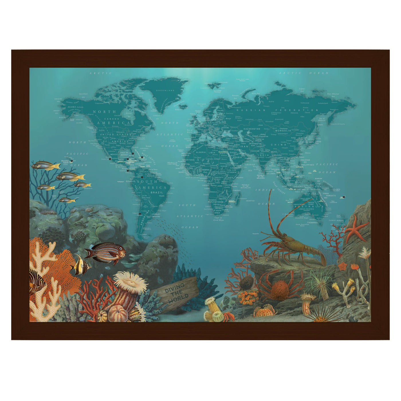 Scuba Diving World Map with Push Pins unpersonalized