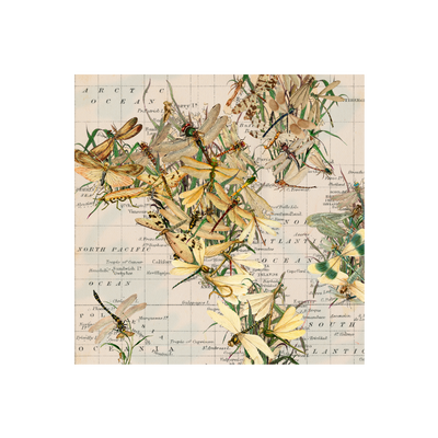 Dragonfly World Collaged Map Art | all:transparent