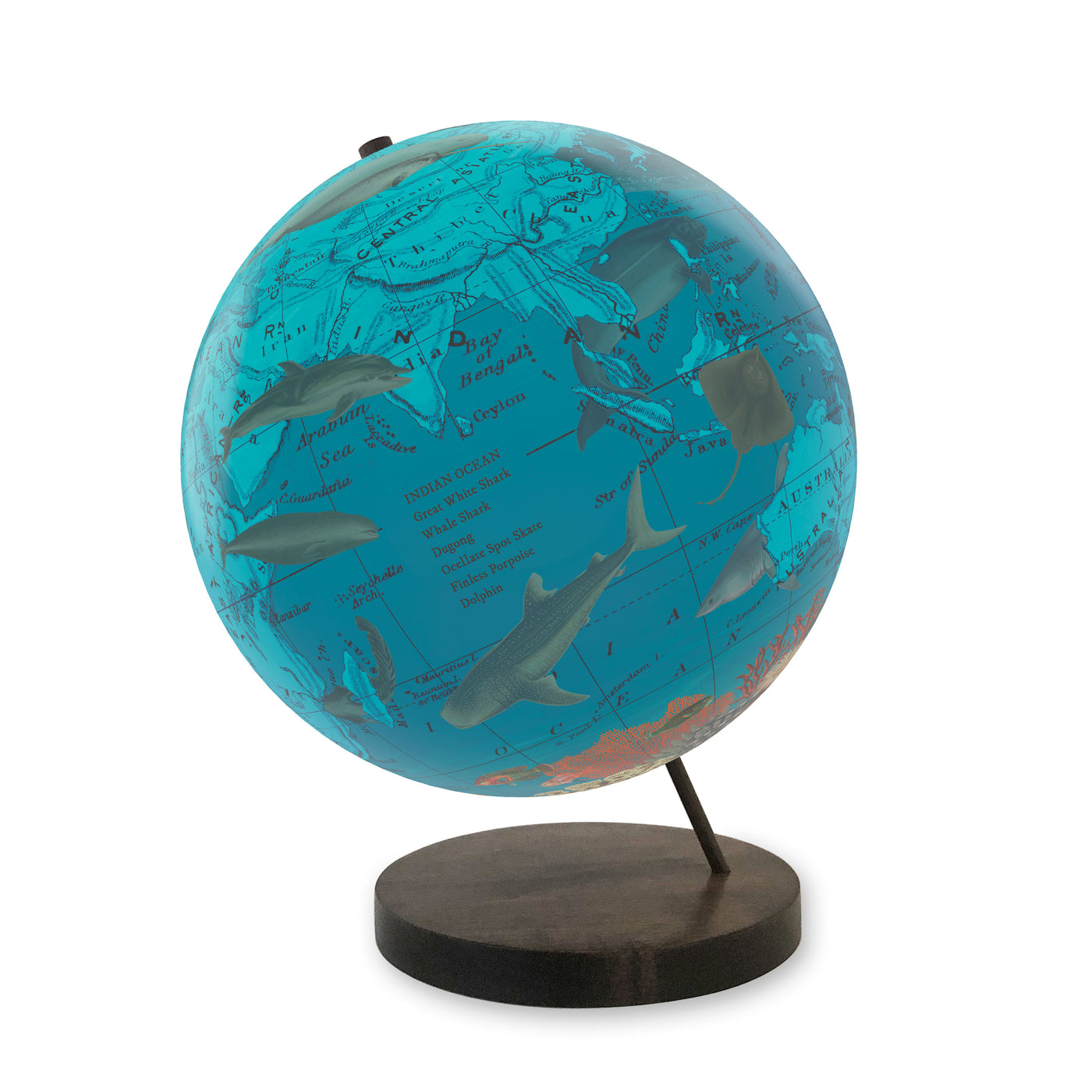Endangered Ocean Species Globe – Marine Conservation Art view 2