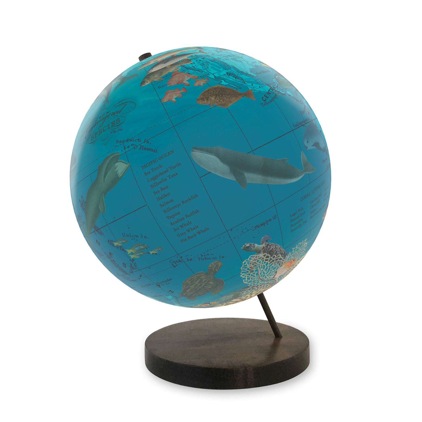 Endangered Ocean Species Globe – Marine Conservation Art view 3