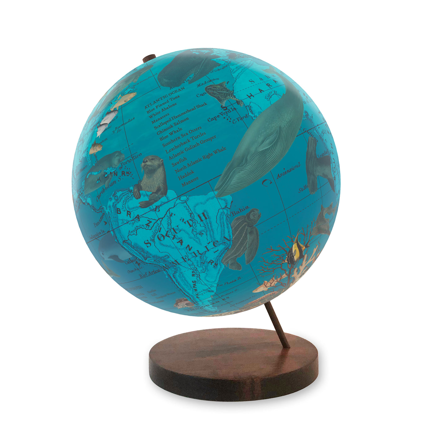 Endangered Ocean Species Globe – Marine Conservation Art walnut base