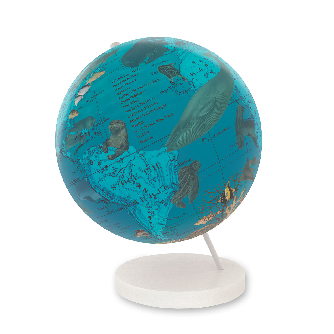 Endangered Ocean Species Globe – Marine Conservation Art white base