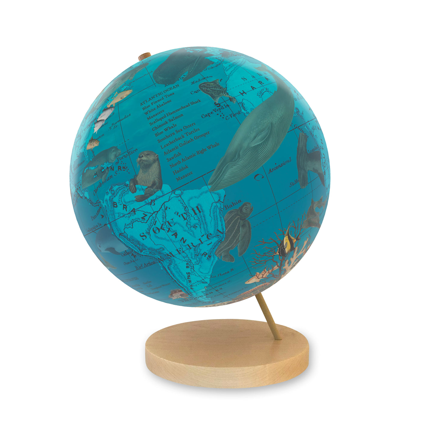 Endangered Ocean Species Globe – Marine Conservation Art maple base