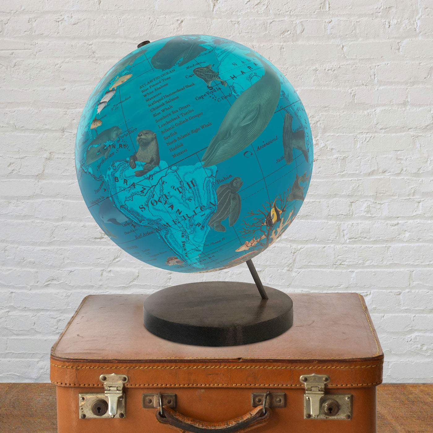Endangered Ocean Species Globe – Marine Conservation Art lifestyle