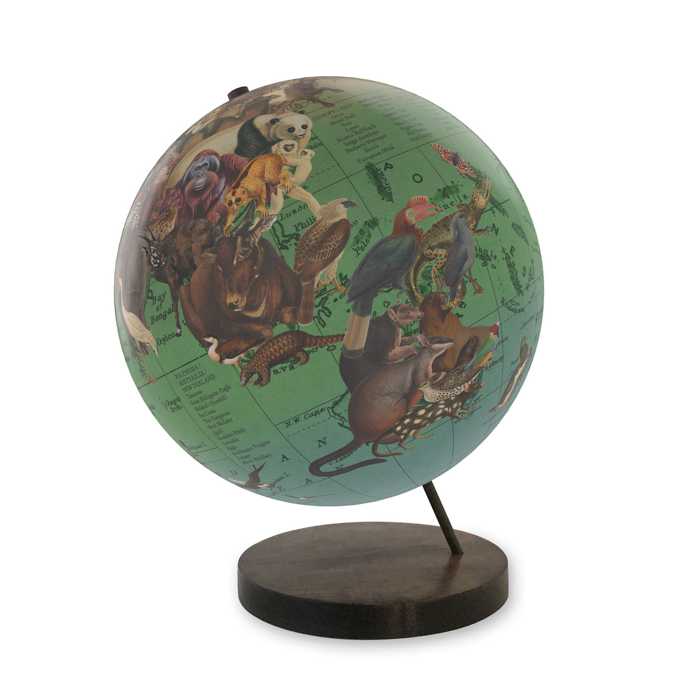 Endangered Species of the World Personalized Globe Art view 3