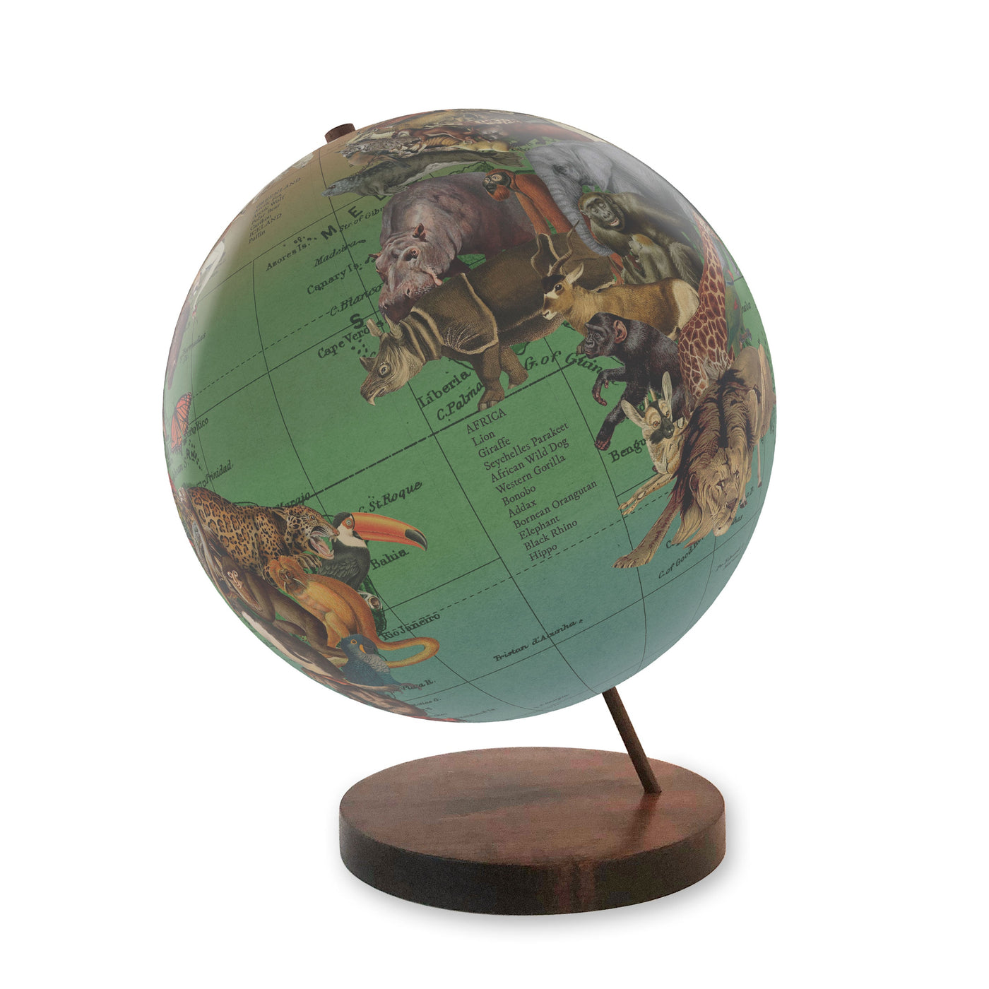 Endangered Species of the World Personalized Globe Art walnut base