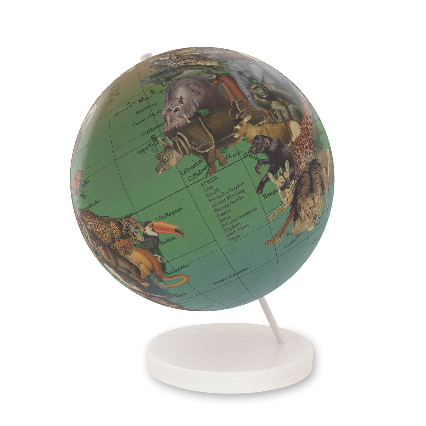 Endangered Species of the World Personalized Globe Art white base