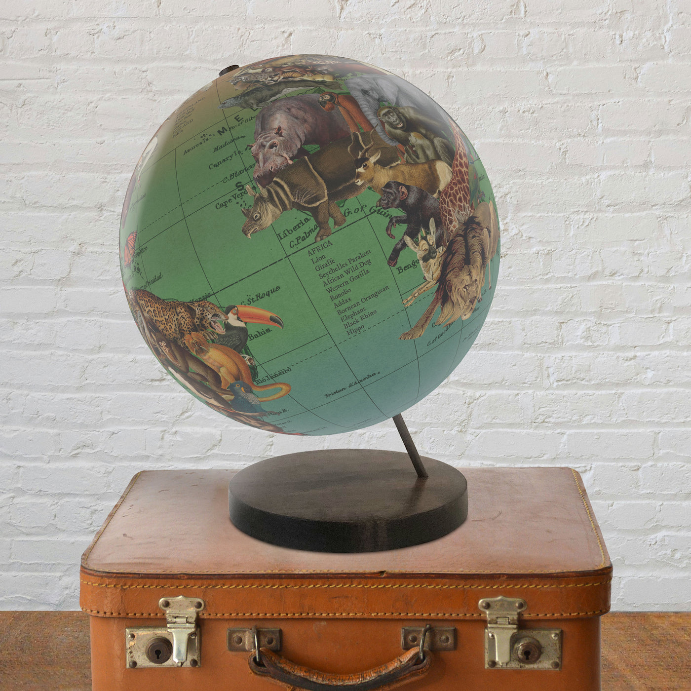 Endangered Species of the World Personalized Globe Art lifestyle