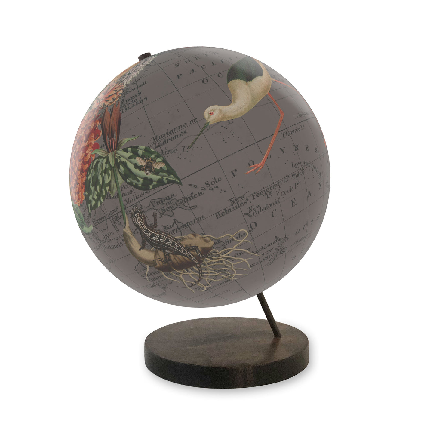 Flora and Fauna Collaged World Globe Art view 3