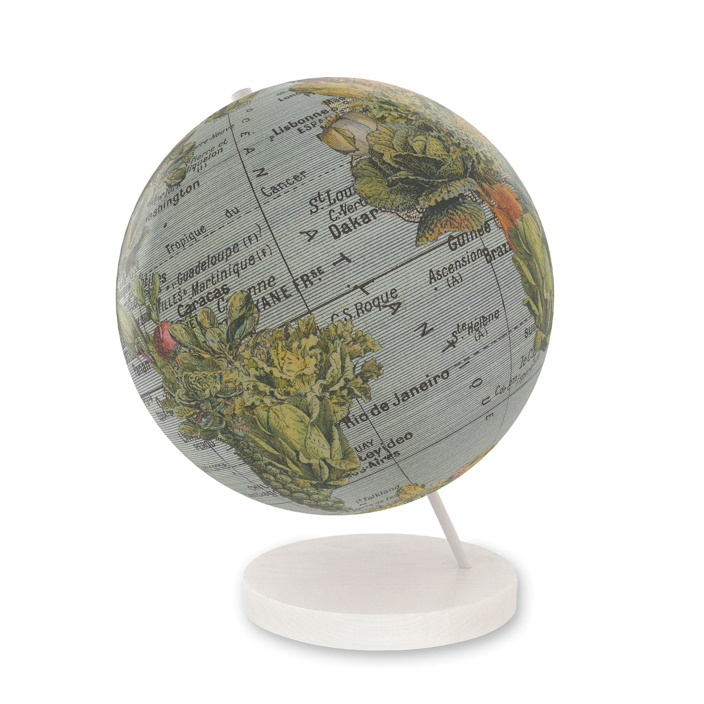 Garden Vegetable Collage World Globe Art white base