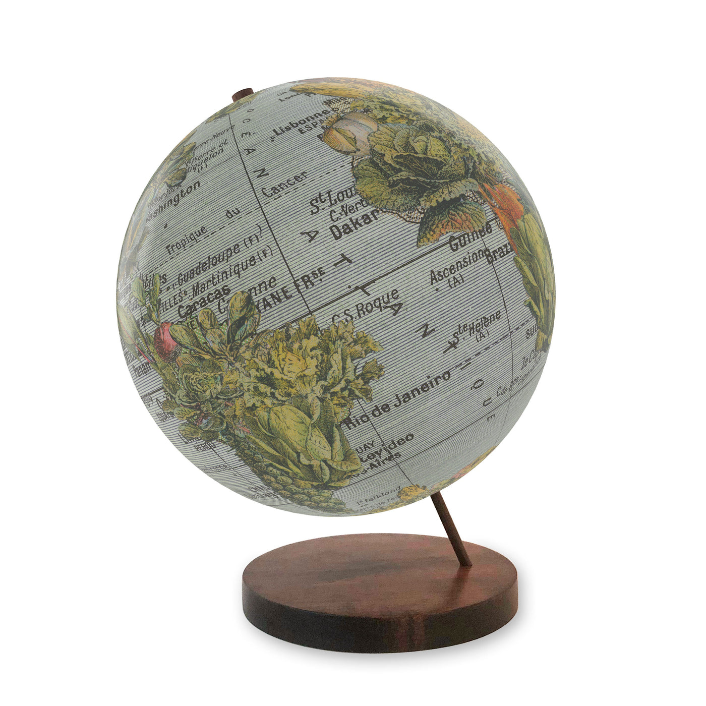 Garden Vegetable Collage World Globe Art walnut base
