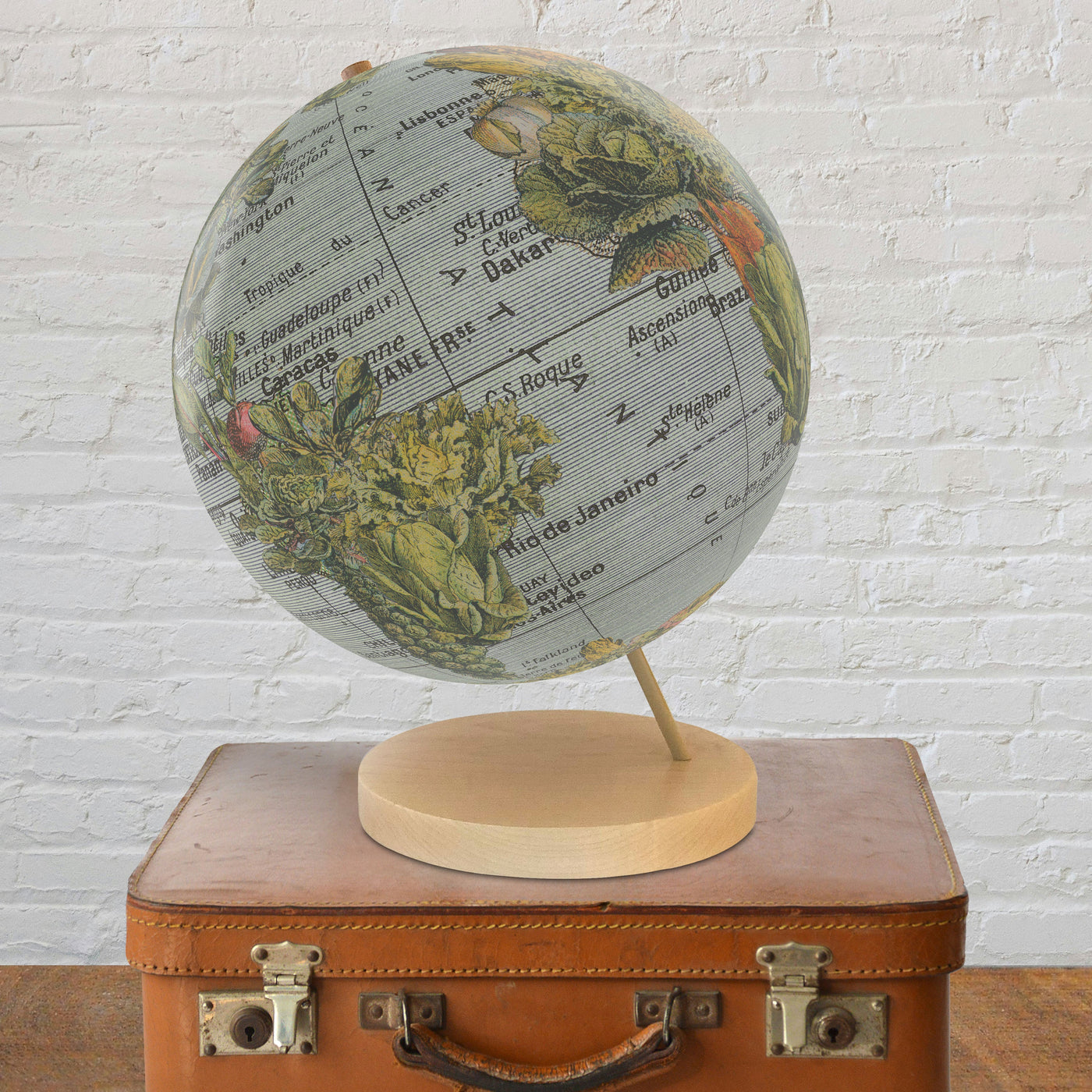 Garden Vegetable Collage World Globe Art lifestyle