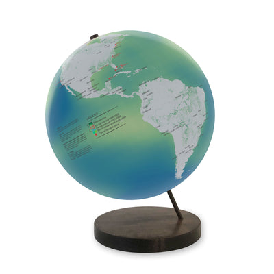 Changing Earth: Global Warming Handmade Art Globe ebony base