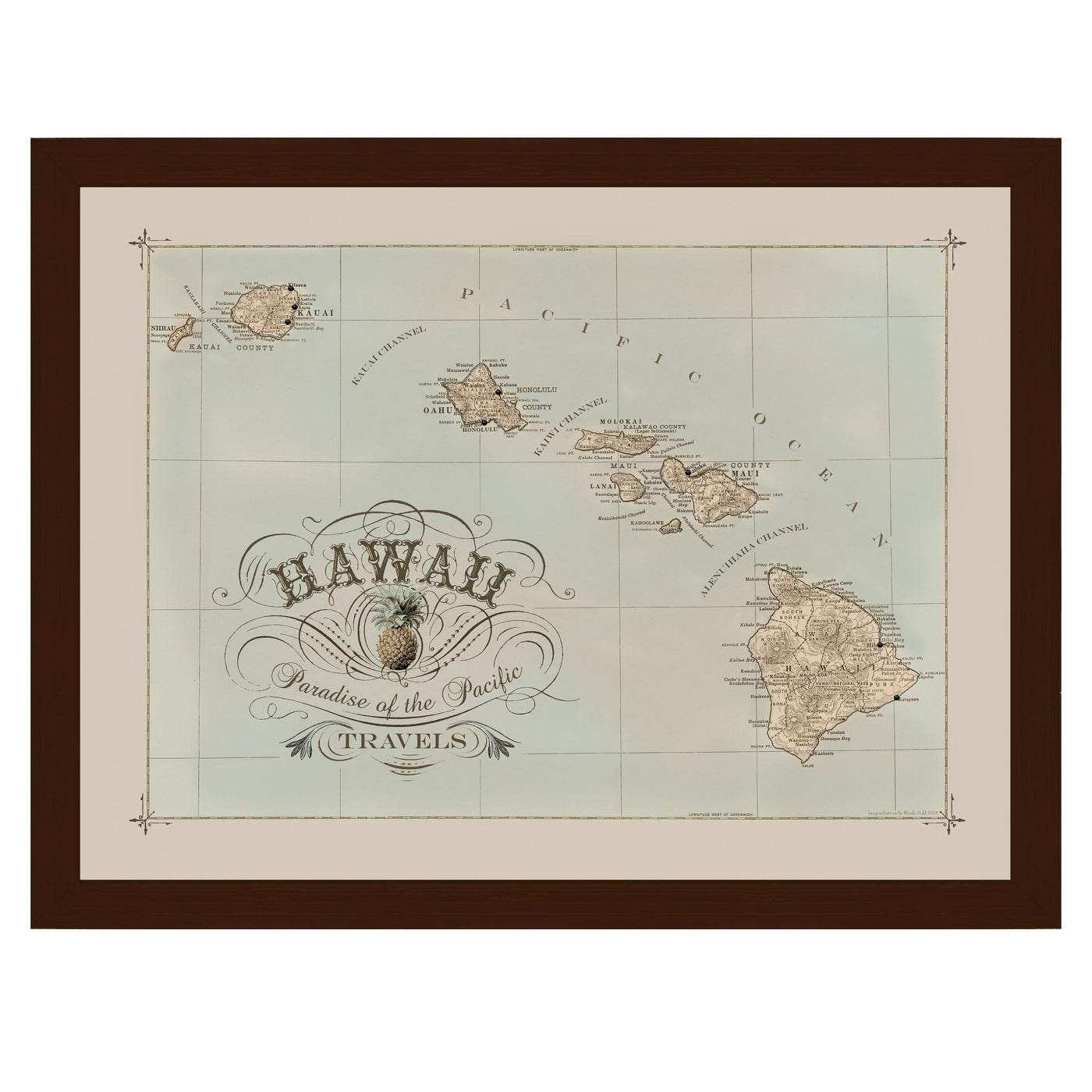 Vintage Hawaii Travel Pushpin Map uncustomized