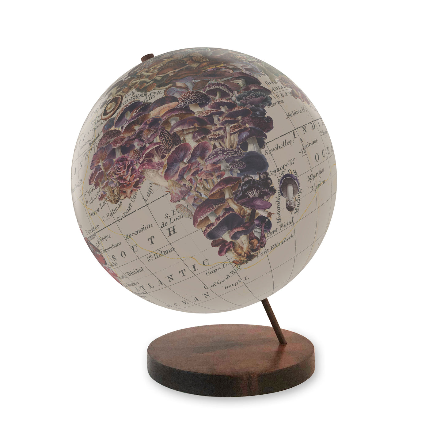 World of Mushrooms Collaged Globe Art view 2