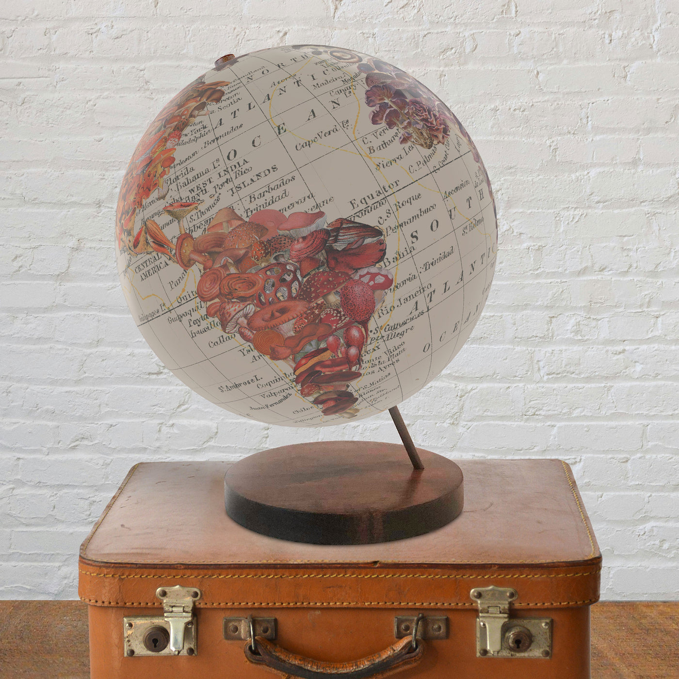 World of Mushrooms Collaged Globe Art lifestyle photo
