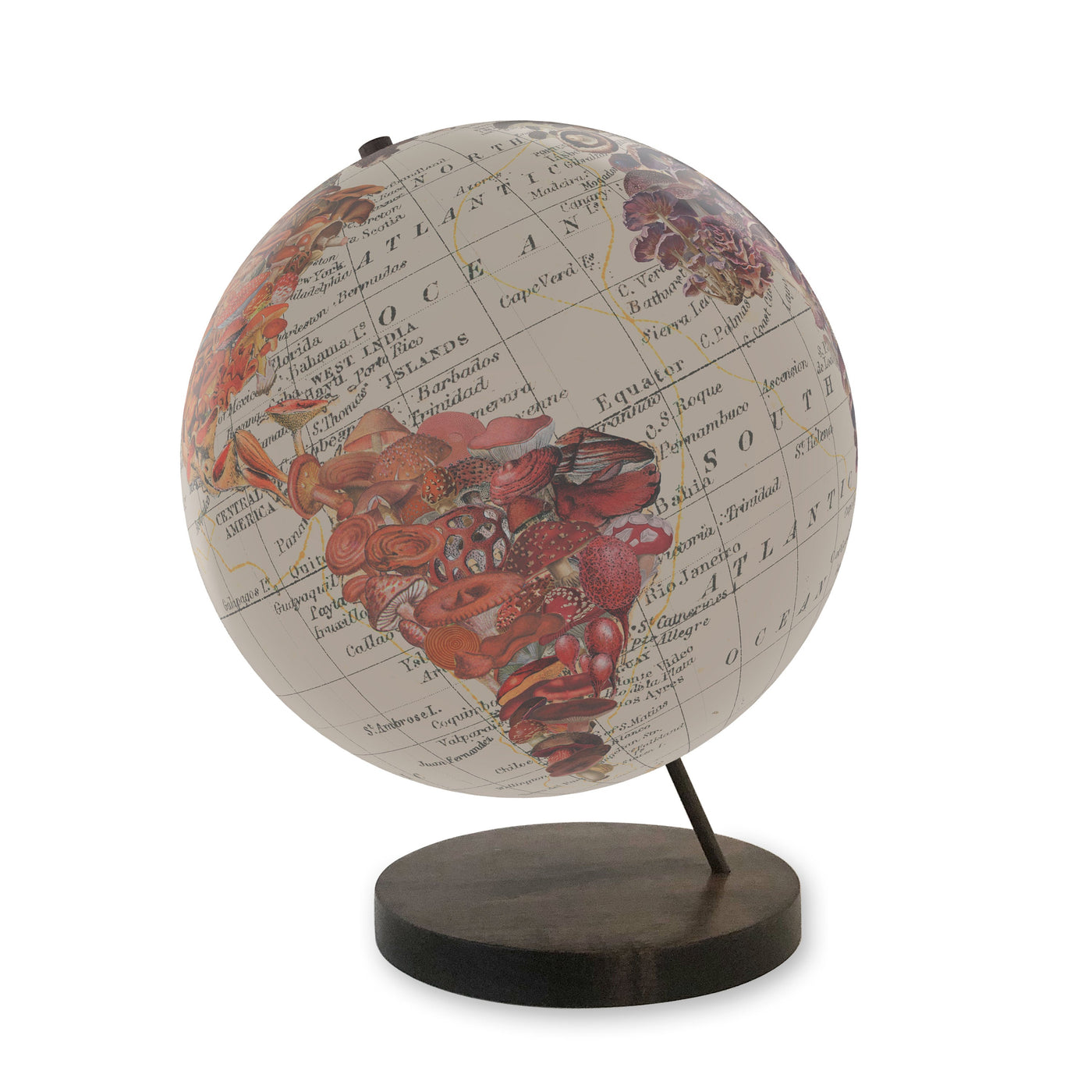 World of Mushrooms Collaged Globe Art walnut base