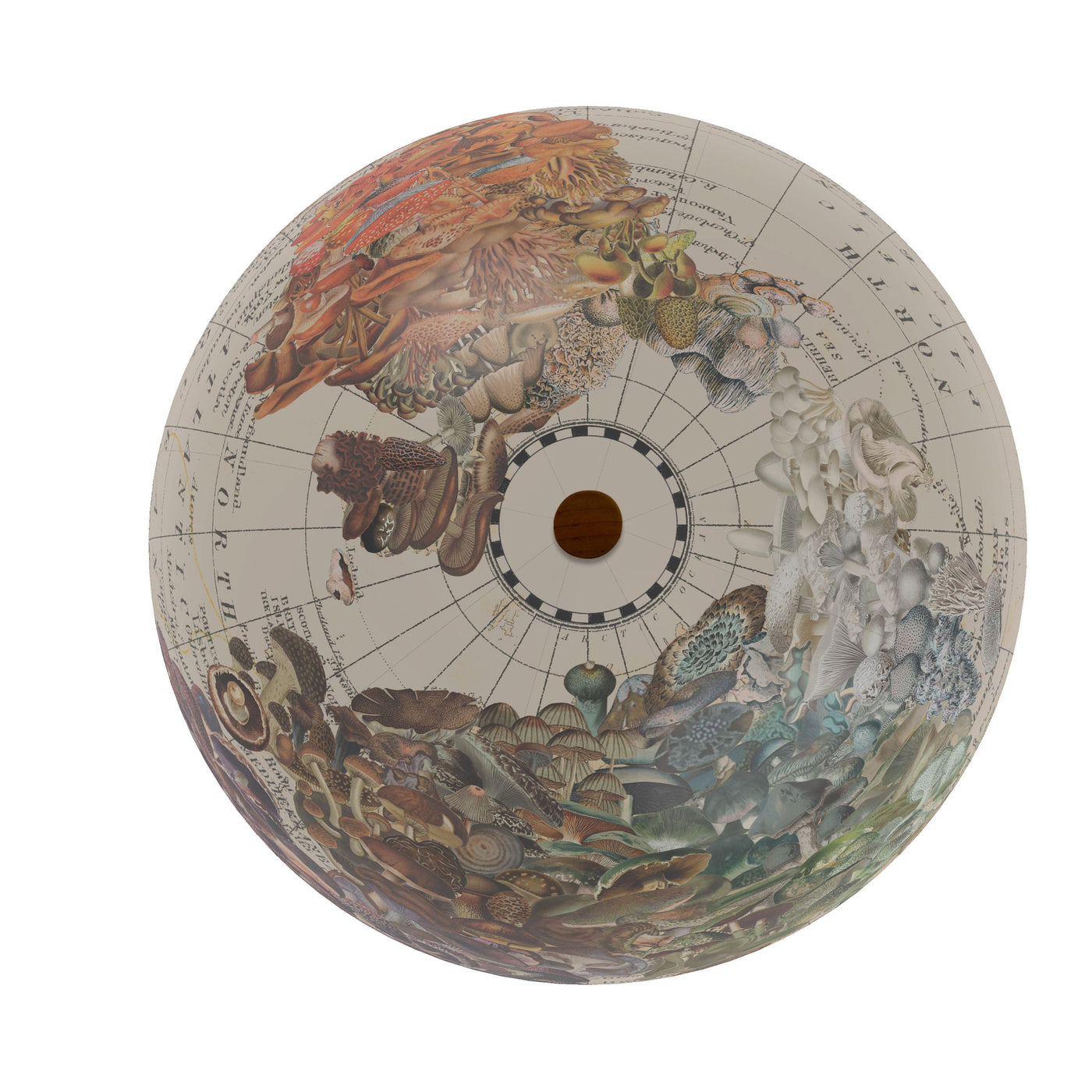 World of Mushrooms Collaged Globe Art top view