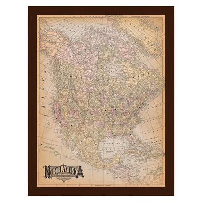 Vintage Antique USA & North America Pushpin Travel Map uncustomized