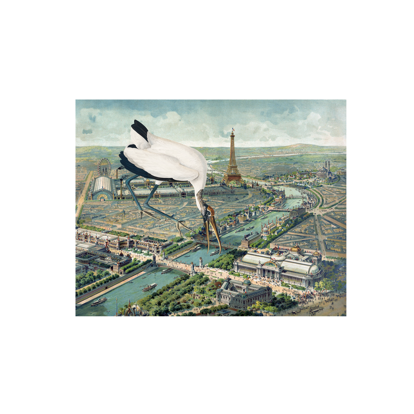 Bird of Paris Collaged Map Art Print | all:transparent