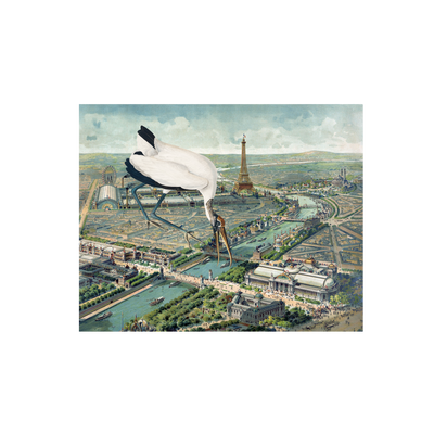 Bird of Paris Collaged Map Art Print | all:transparent