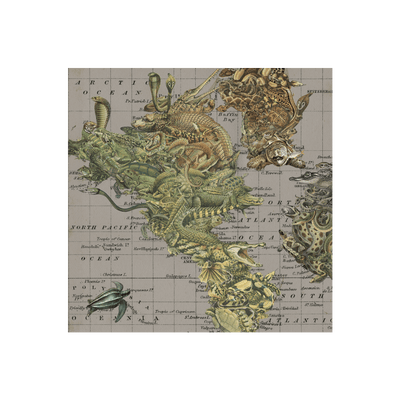 Cold Blooded Collaged Map Art Print | all:transparent