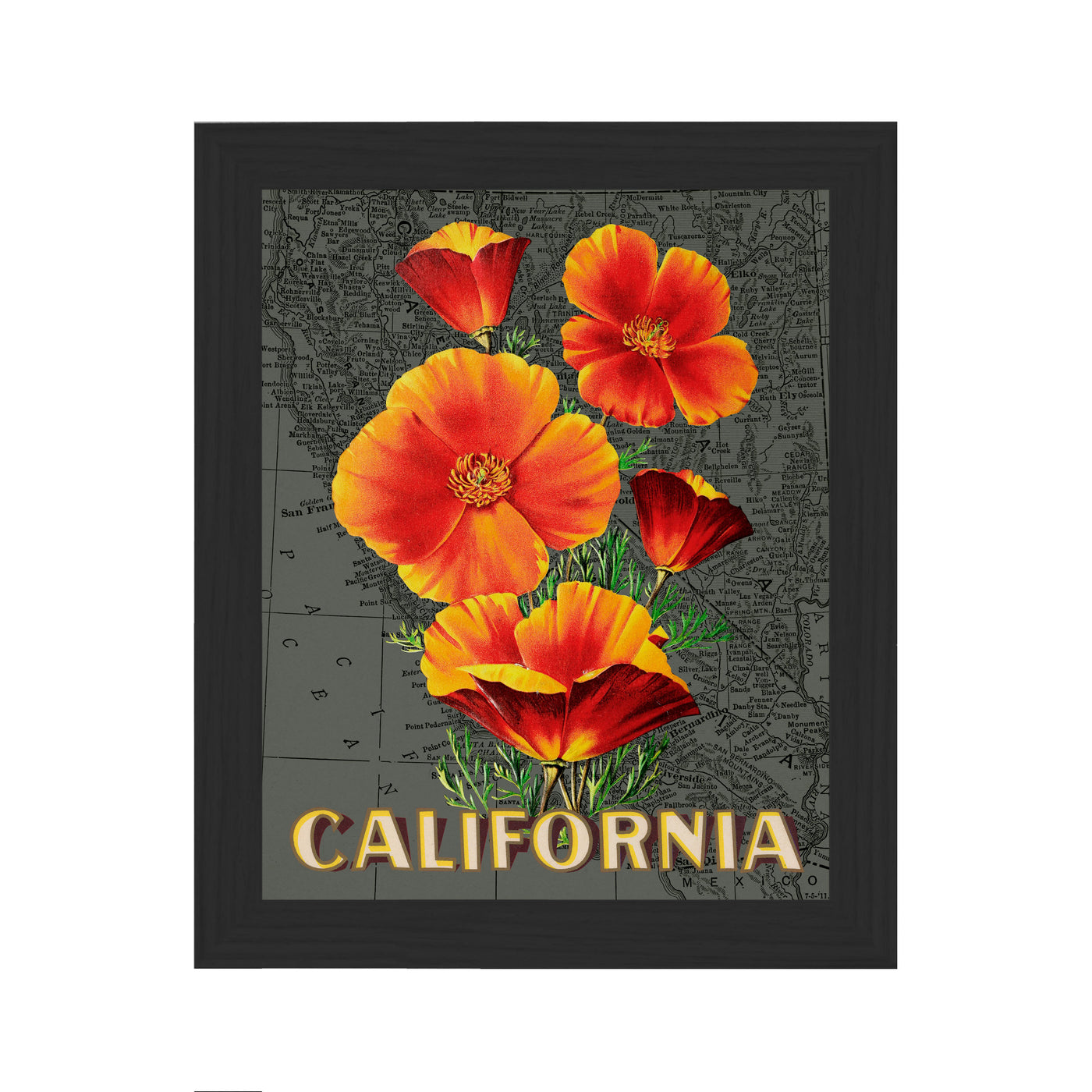 California poppy vintage map art framed black