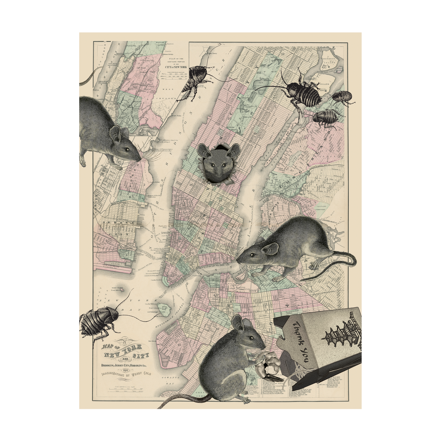 New York City Rats Map Collage Art transparent | all:transparent