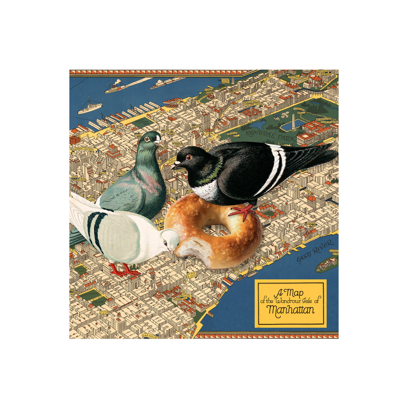 New York City Birds Collaged Map Art Print | all:transparent