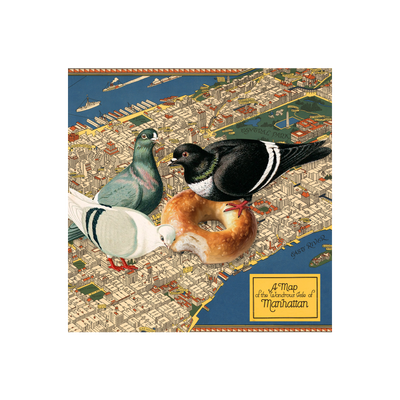 New York City Birds Collaged Map Art Print | all:transparent