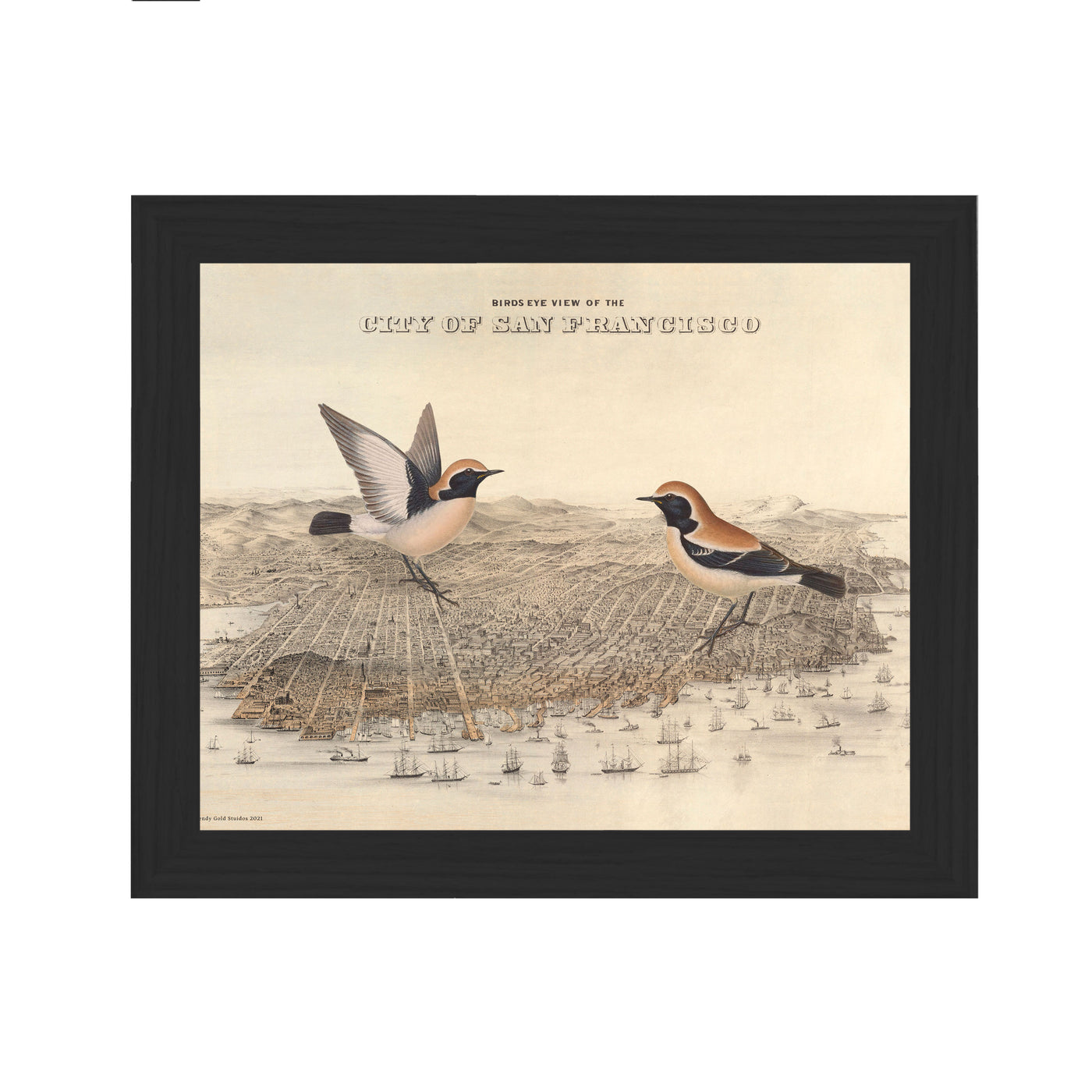 Birds of San Francisco Collaged Map Art Print black frame