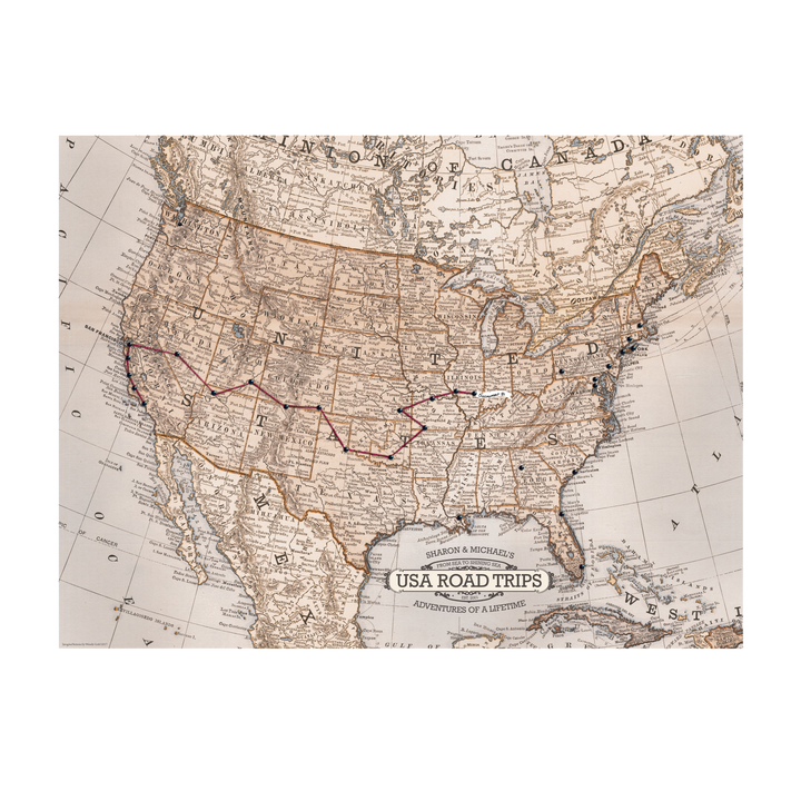 【1950s60s USA vintage】アメリカ 地図 州 アート オブジェ Road Trip USA Map with Push Pins | Wendy Gold