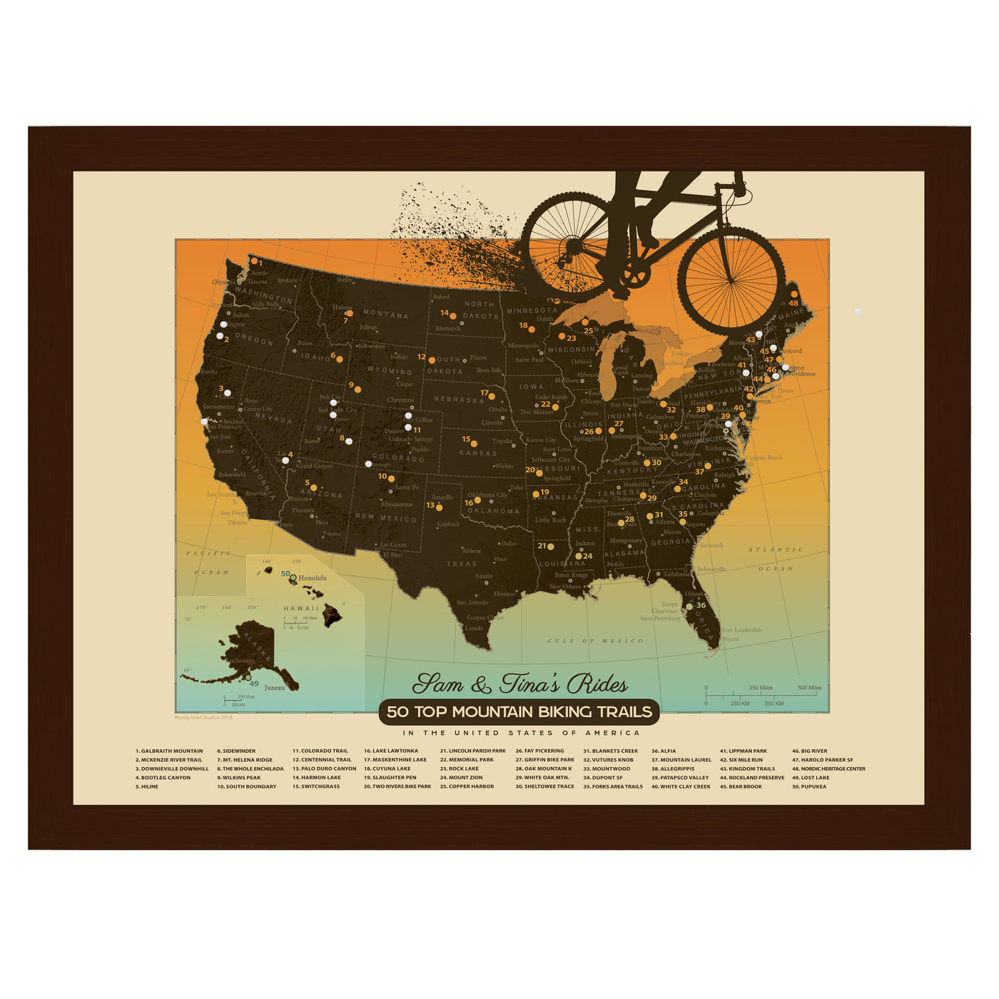 Mountain Biking Pushpin Travel Map framed