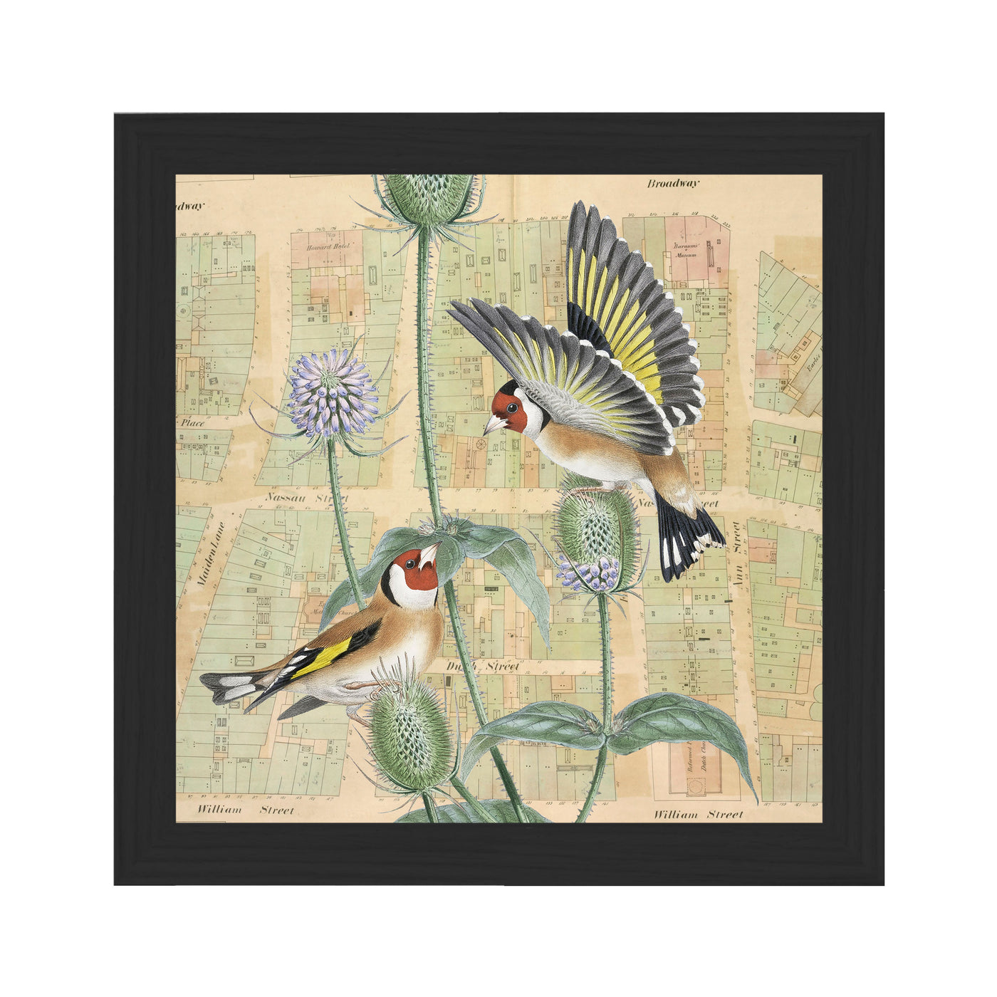 Birds and Thistle Collaged Map Art Print black frame