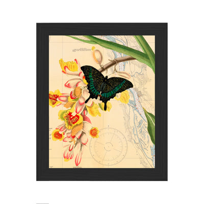 butterfly orchid map art framed black