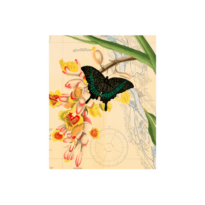 Butterfly Orchid Collaged Map Art Print | all:transparent