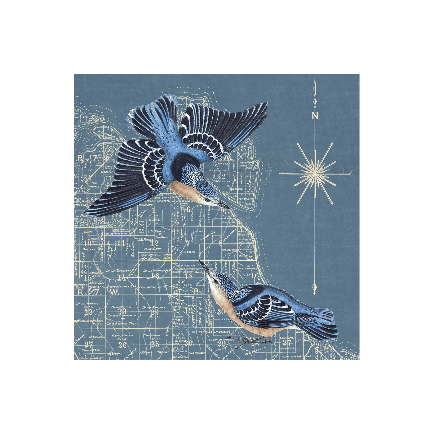 Blue Birds Collaged Map Art Print | all:transparent