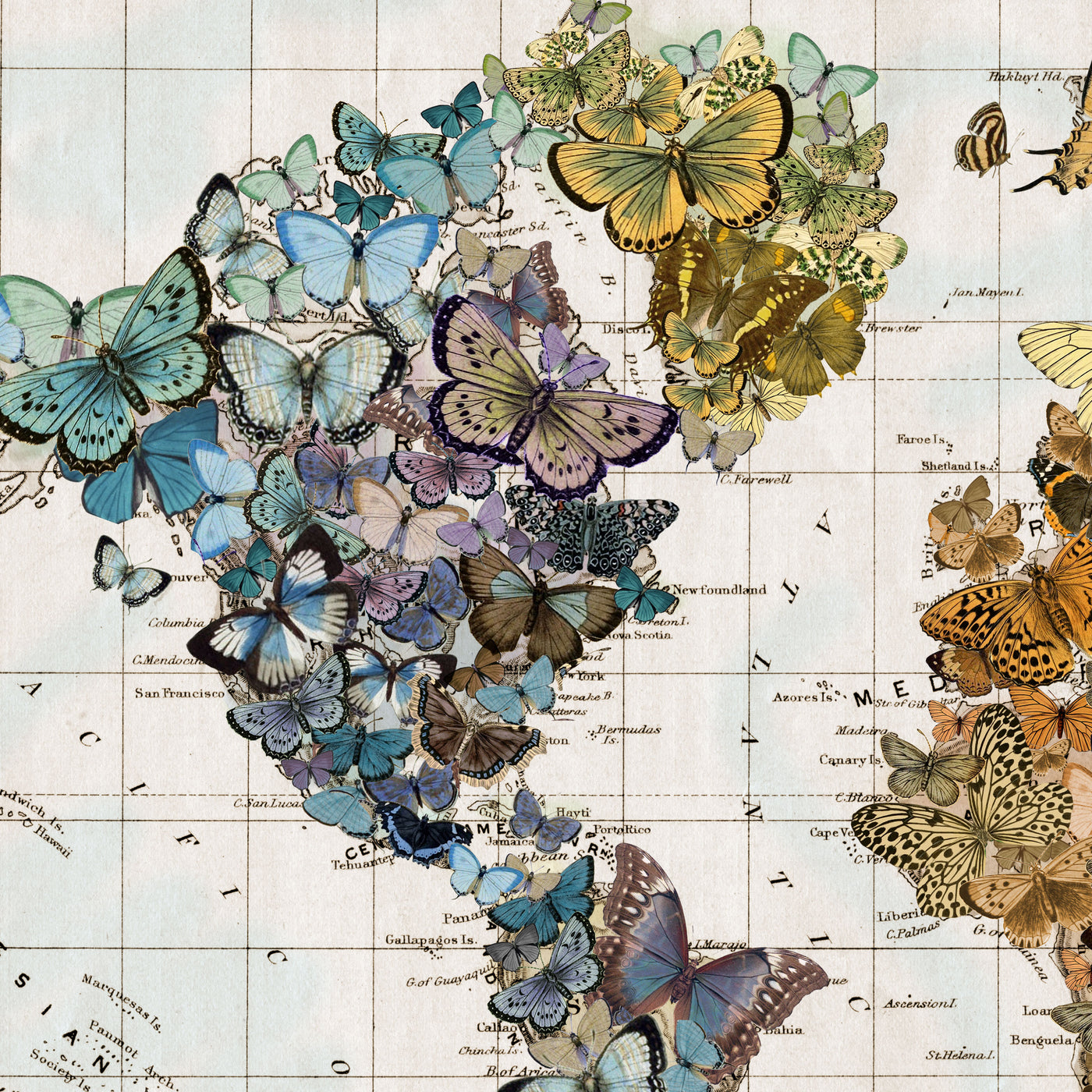 Butterfly Migration World Map Collage Art Close up