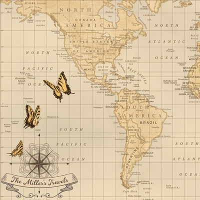 Personalized World Push Pin Travel Map with Butterflies closeup