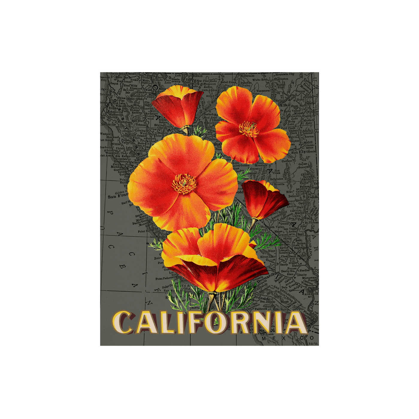 California Poppies Collaged Map Art Print | all:transparent